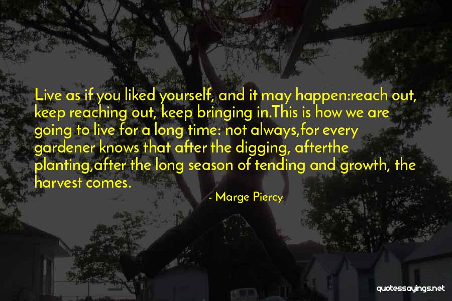 Attaint Def Quotes By Marge Piercy Attaint Def Quotes By Marge Piercy
