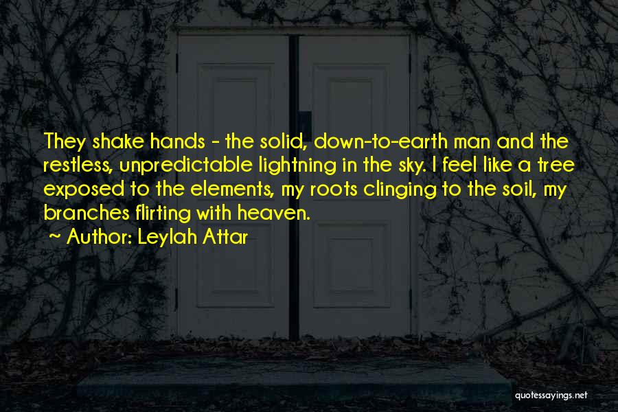 Attar Quotes By Leylah Attar