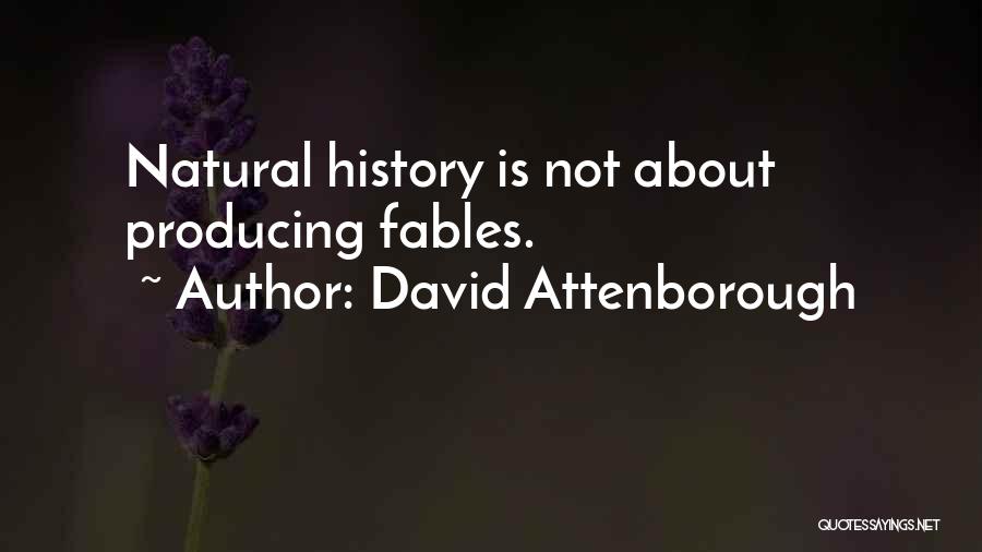 Attenborough David Quotes By David Attenborough