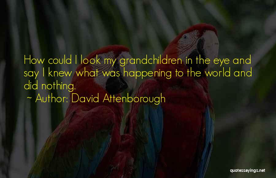 Attenborough David Quotes By David Attenborough