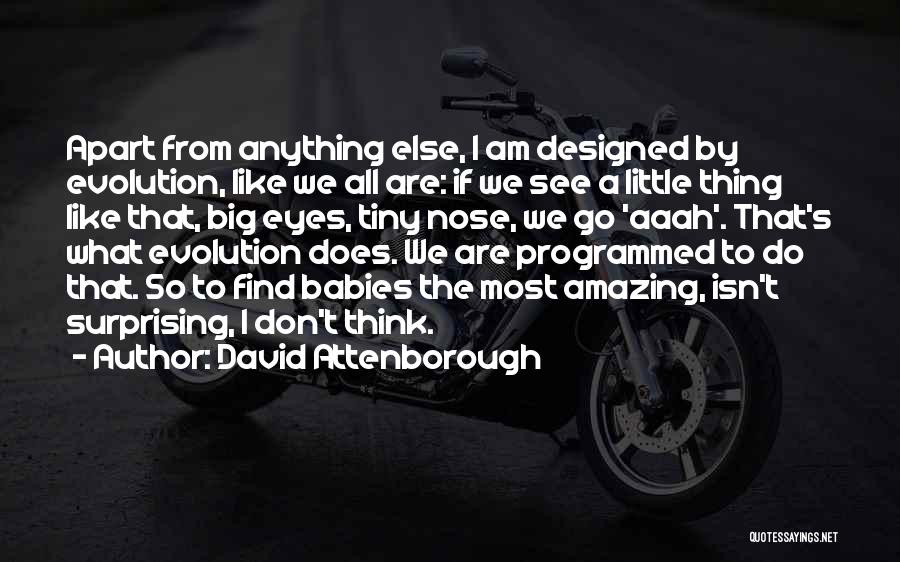 Attenborough David Quotes By David Attenborough