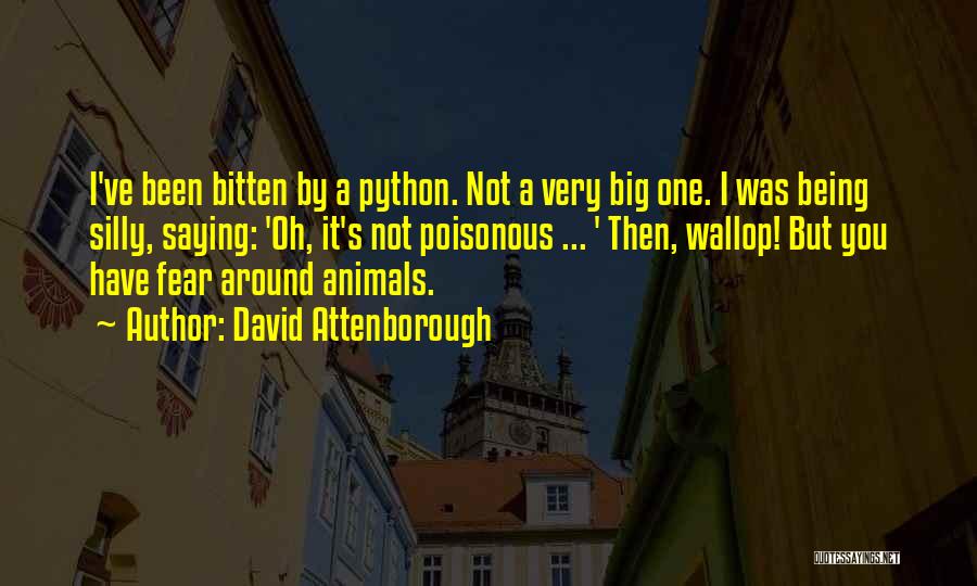 Attenborough David Quotes By David Attenborough