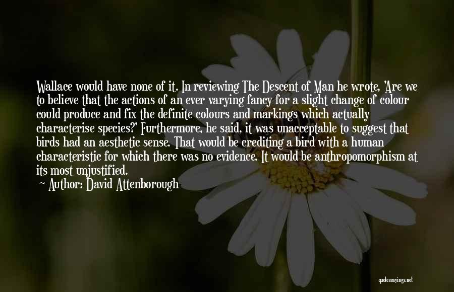 Attenborough David Quotes By David Attenborough