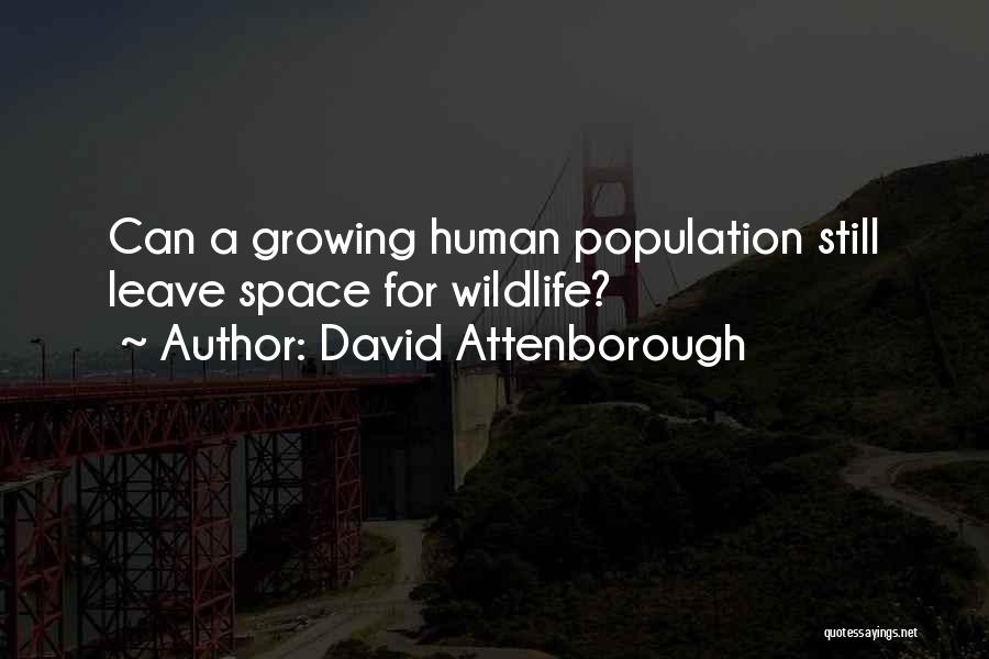 Attenborough David Quotes By David Attenborough