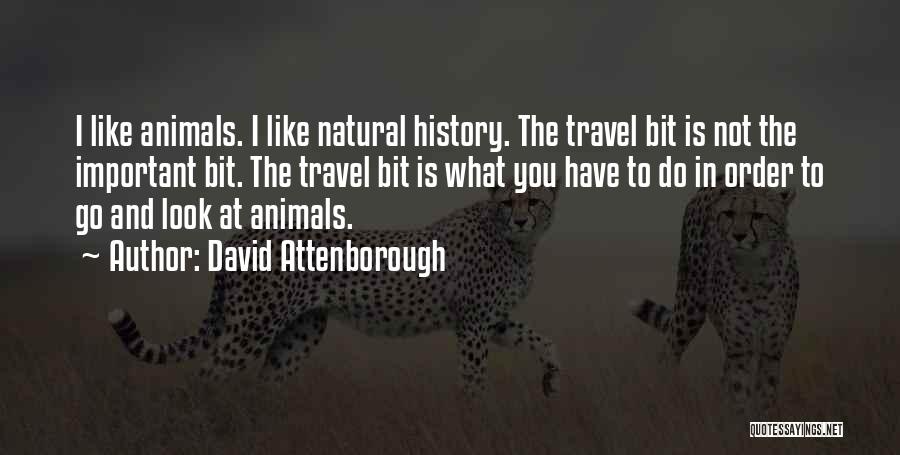 Attenborough David Quotes By David Attenborough