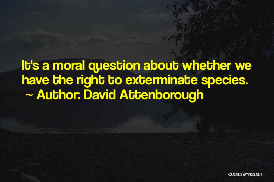 Attenborough David Quotes By David Attenborough