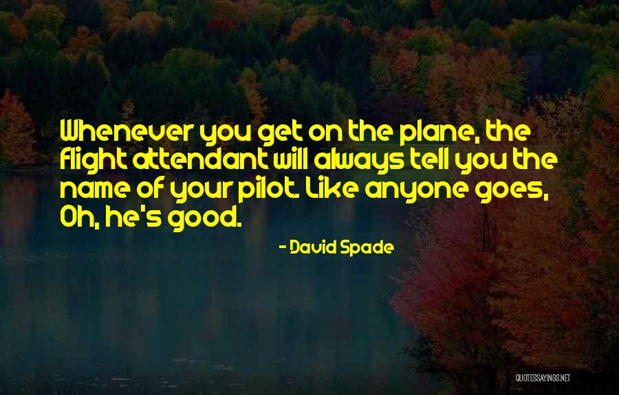 Attendant Quotes By David Spade