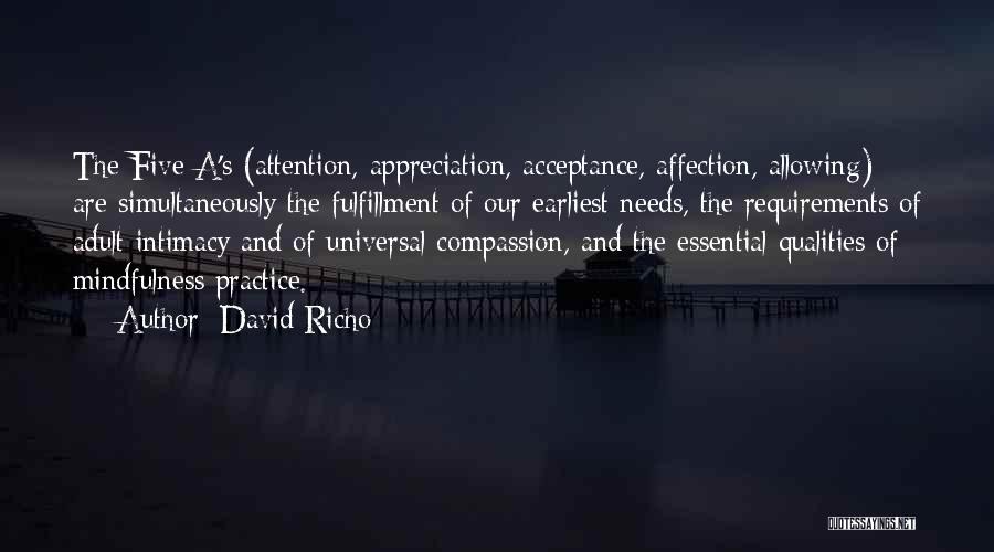 Attention And Affection Quotes By David Richo