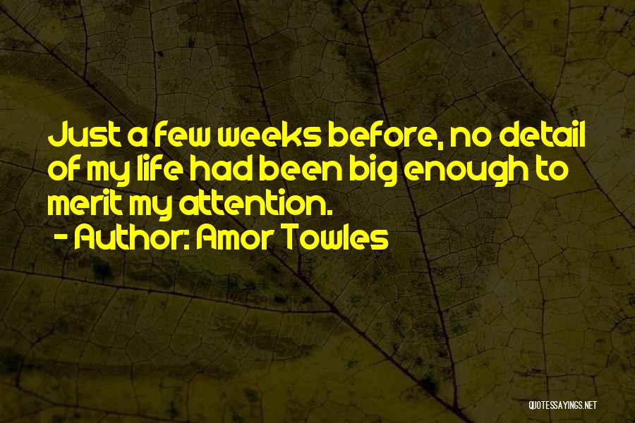 Attention To Detail Quotes By Amor Towles