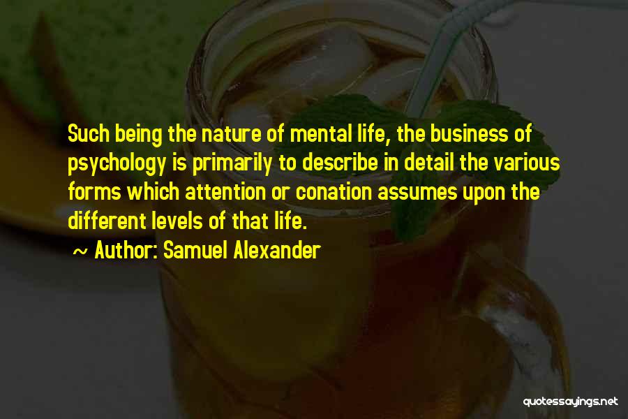 Attention To Detail Quotes By Samuel Alexander