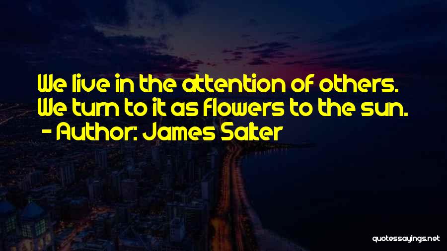 Attention To Others Quotes By James Salter