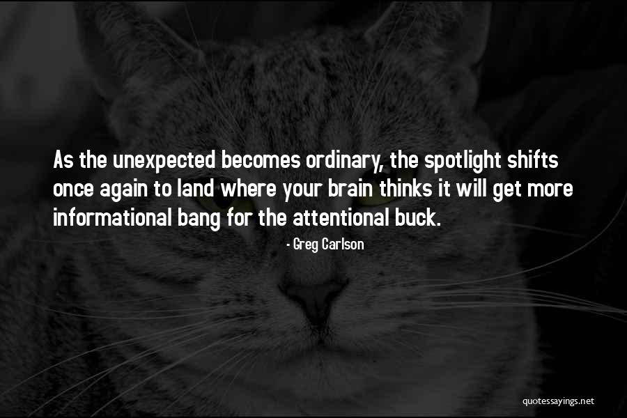 Attentional Quotes By Greg Carlson Attentional Quotes By Greg Carlson