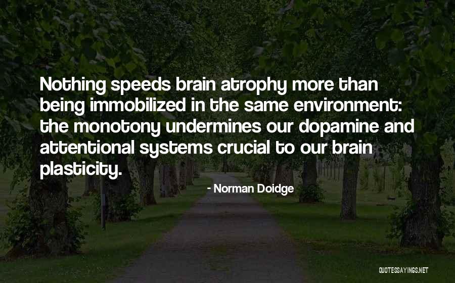 Attentional Quotes By Norman Doidge Attentional Quotes By Norman Doidge