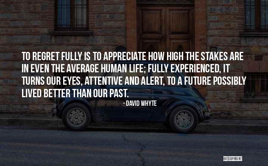 Attentive Eyes Quotes By David Whyte Attentive Eyes Quotes By David Whyte