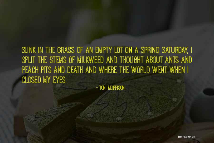 Attentive Eyes Quotes By Toni Morrison Attentive Eyes Quotes By Toni Morrison