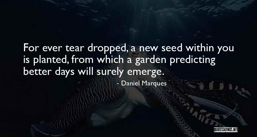 Attercop Attercop Quotes By Daniel Marques Attercop Attercop Quotes By Daniel Marques