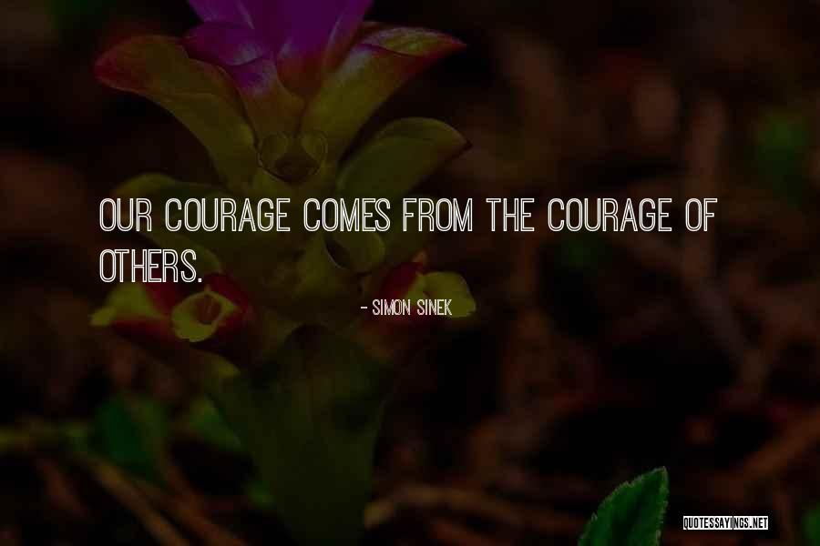 Attewell Hayes Quotes By Simon Sinek