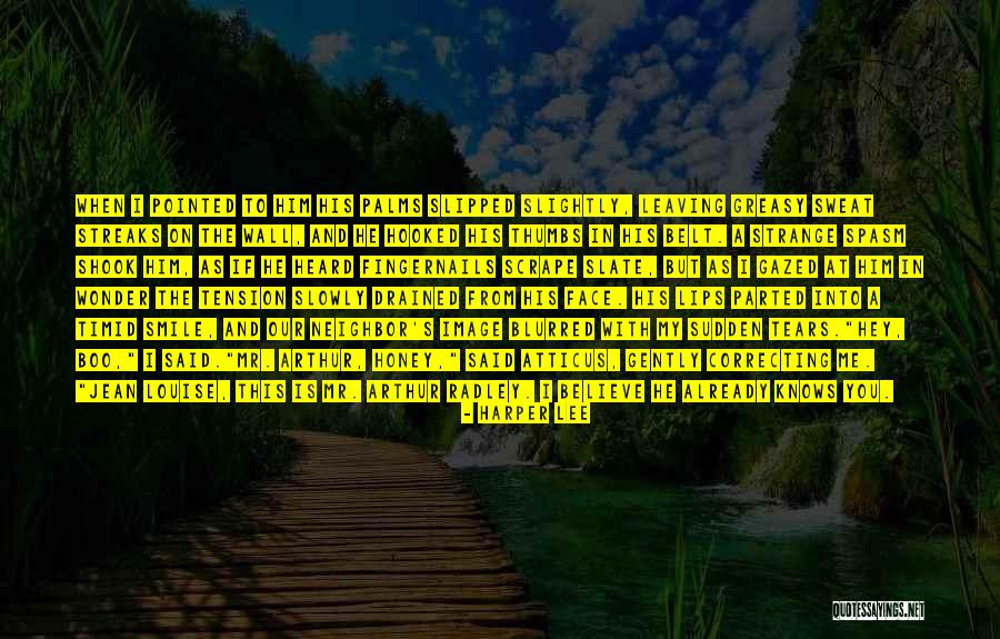 Atticus Boo Radley Quotes By Harper Lee Atticus Boo Radley Quotes By Harper Lee