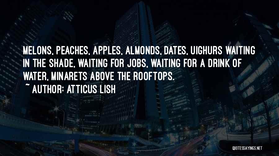Atticus Lish Quotes 629868