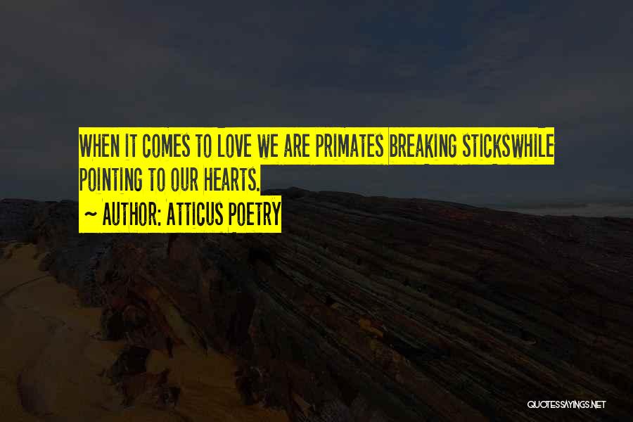 Atticus Poetry Quotes 895038