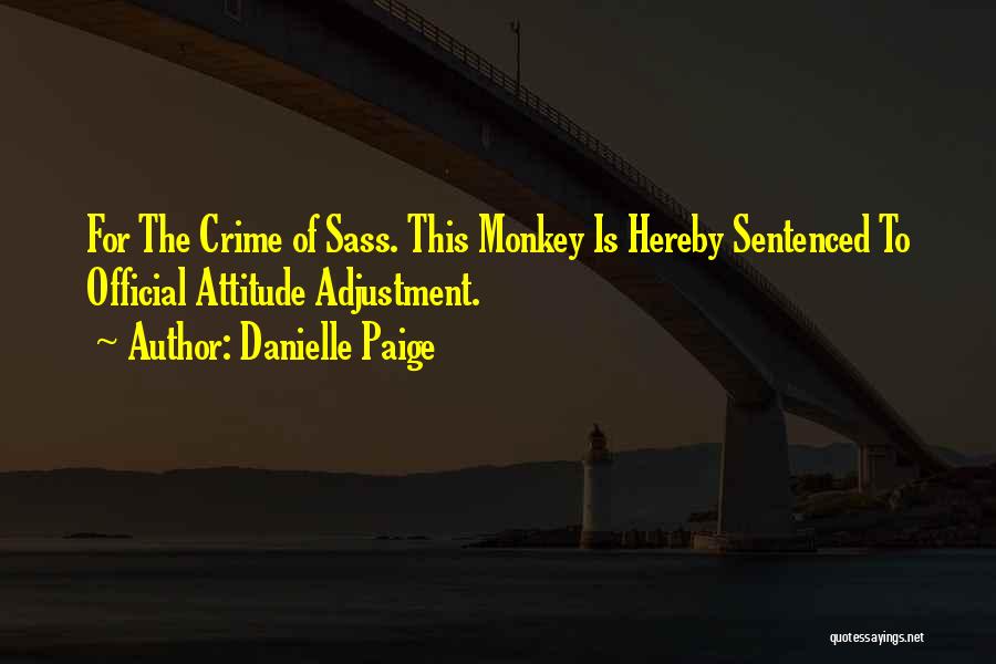 Attitude Adjustment Quotes By Danielle Paige