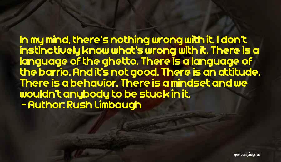 Attitude And Behavior Quotes By Rush Limbaugh
