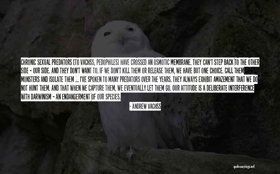 Attitude And Choice Quotes By Andrew Vachss Attitude And Choice Quotes By Andrew Vachss