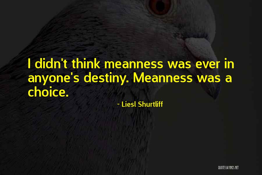 Attitude And Choice Quotes By Liesl Shurtliff Attitude And Choice Quotes By Liesl Shurtliff