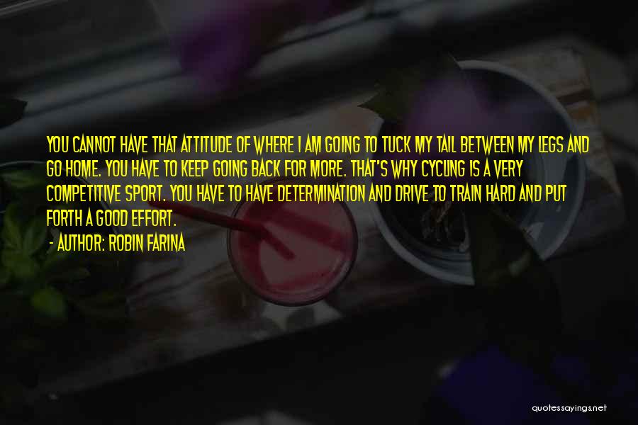 Attitude And Effort Quotes By Robin Farina