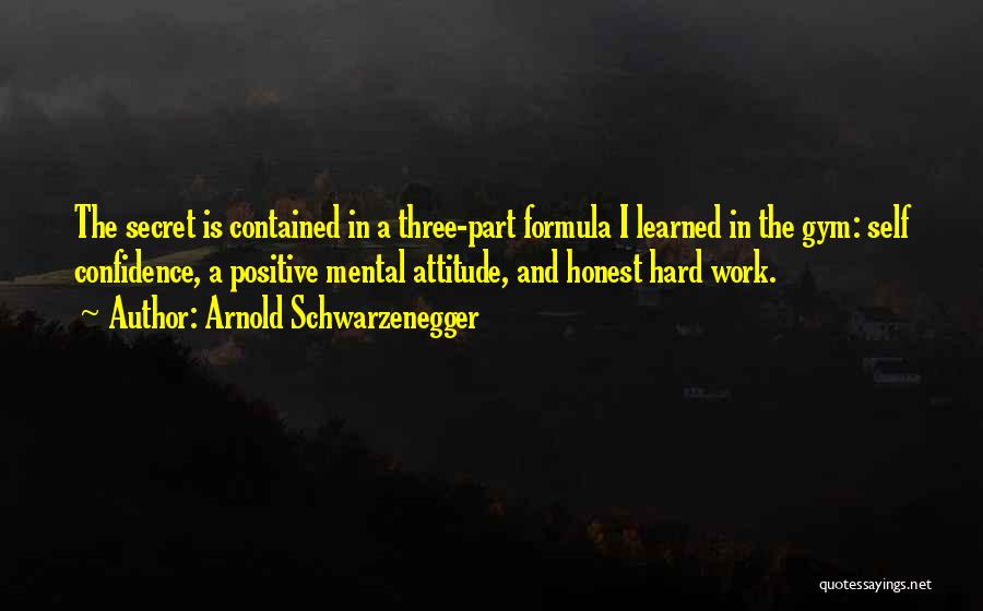 Attitude And Hard Work Quotes By Arnold Schwarzenegger