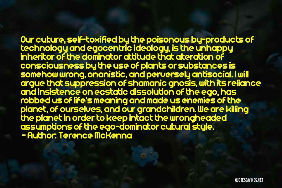 Attitude And Style Quotes By Terence McKenna
