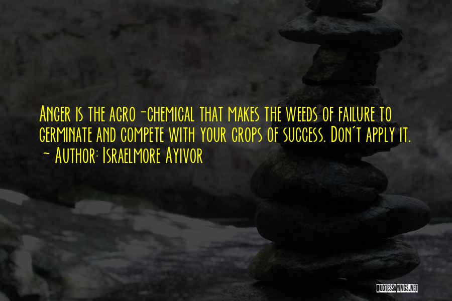 Attitude And Success Quotes By Israelmore Ayivor