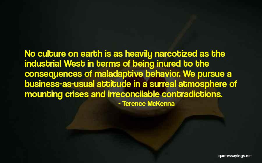 Attitude In Business Quotes By Terence McKenna Attitude In Business Quotes By Terence McKenna
