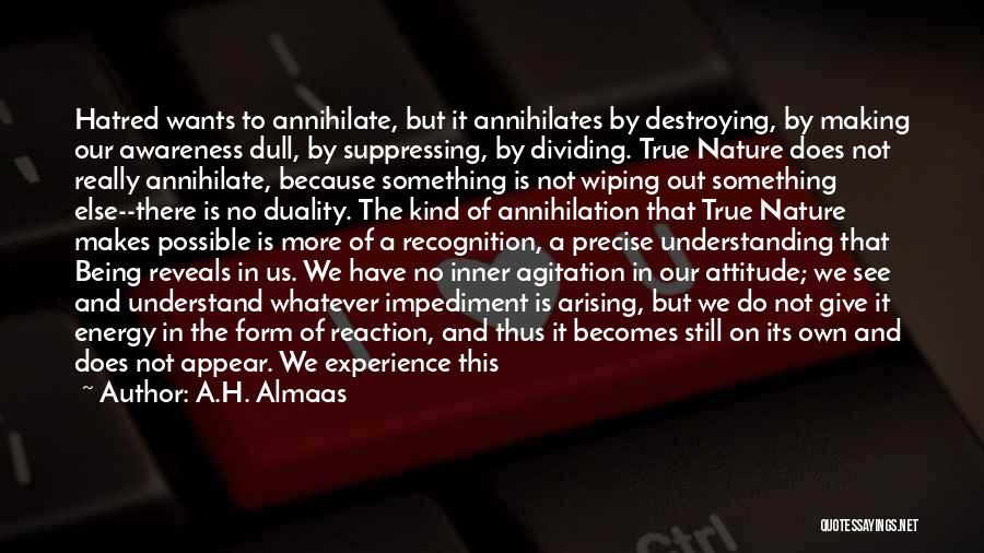 Attitude Kind Of Quotes By A.H. Almaas