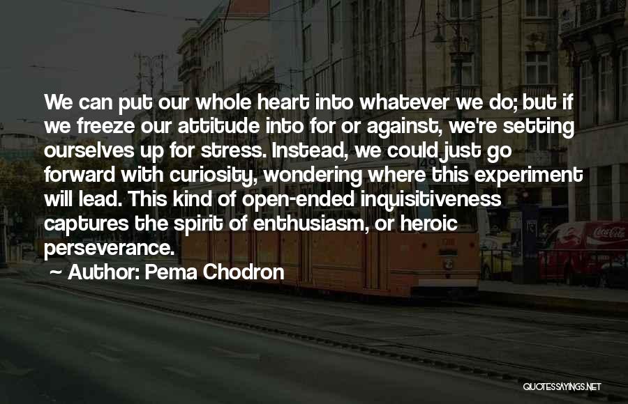 Attitude Kind Of Quotes By Pema Chodron