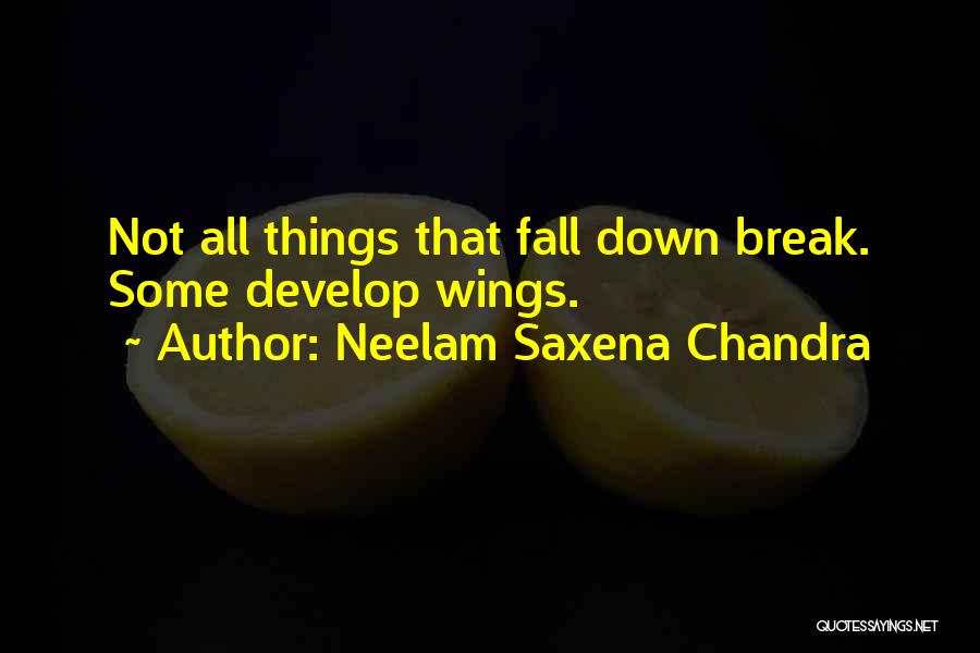 Attitude Not Quotes By Neelam Saxena Chandra