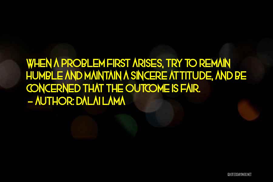 Attitude Problem Quotes By Dalai Lama