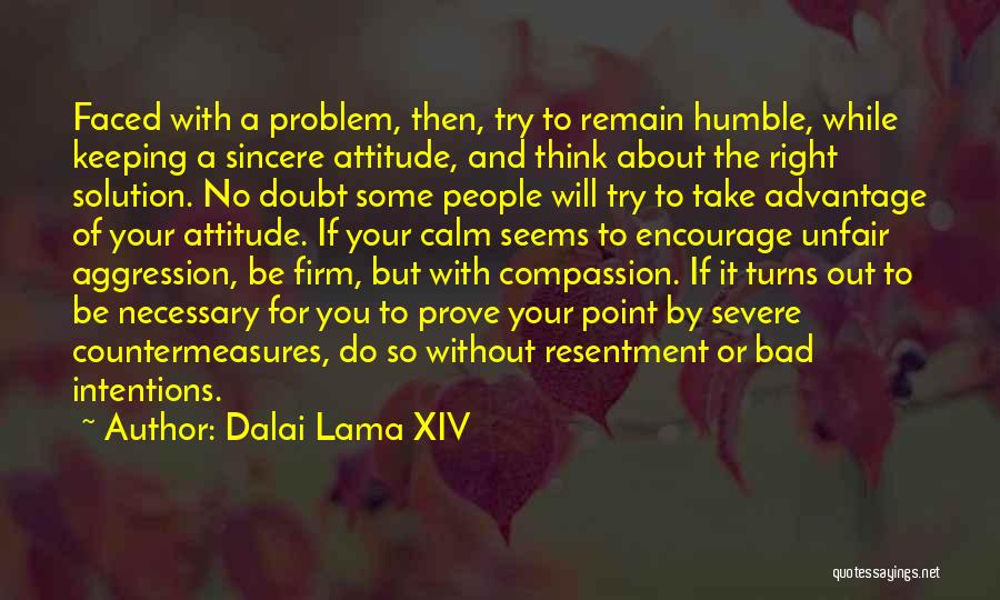 Attitude Problem Quotes By Dalai Lama XIV