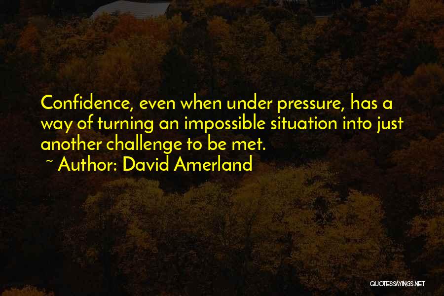 Attitude Quotes By David Amerland