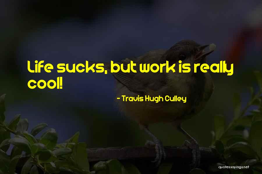 Attitude Towards Nonsense Quotes By Travis Hugh Culley Attitude Towards Nonsense Quotes By Travis Hugh Culley