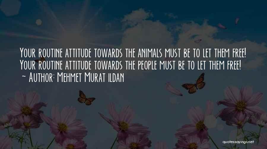 Attitude Towards People Quotes By Mehmet Murat Ildan