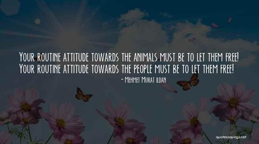 Attitude Towards People Quotes By Mehmet Murat Ildan