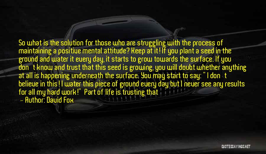 Attitude Towards Work Quotes By David Fox