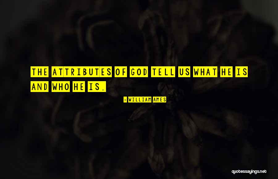 Attivismo Quotes By William Ames