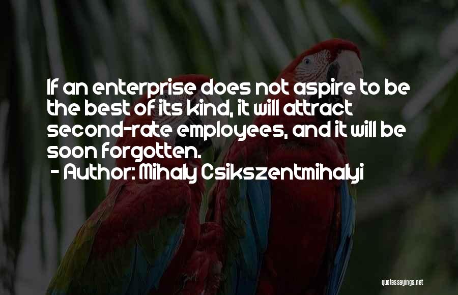 Attract Quotes By Mihaly Csikszentmihalyi