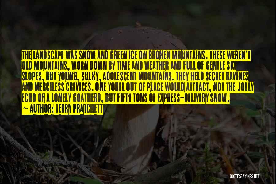 Attract Quotes By Terry Pratchett