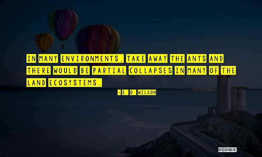 Attracted Crossword Quotes By E. O. Wilson Attracted Crossword Quotes By E. O. Wilson