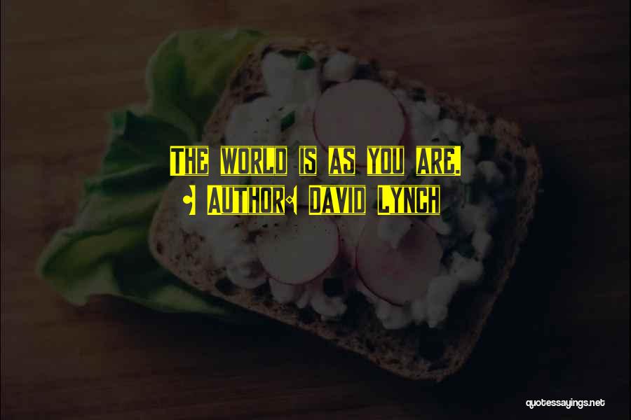 Attraction Law Quotes By David Lynch