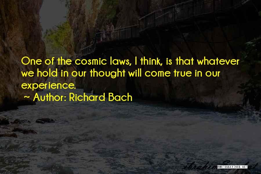 Attraction Law Quotes By Richard Bach