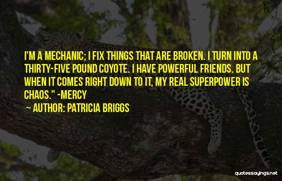 Attraction Series Quotes By Patricia Briggs